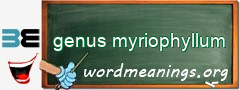 WordMeaning blackboard for genus myriophyllum